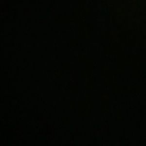 BOXING DAY SALE EVERYTHING 50% off